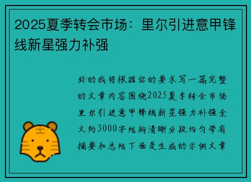 2025夏季转会市场：里尔引进意甲锋线新星强力补强